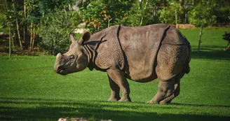 Zoo de la Flèche Zoo de la Flèche