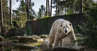 Zoo de la Flèche Zoo de la Flèche