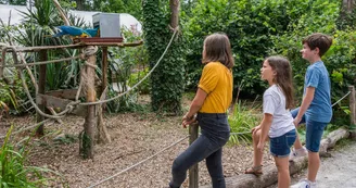 Spaycific' Zoo- Enclos des Aras 2 Spaycific' Zoo- Enclos des Aras 2