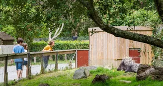 Spaycific' Zoo- Enclos des porcs épic Spaycific' Zoo- Enclos des porcs épic