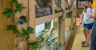 Spaycific' Zoo- Enclos des reptiles Spaycific' Zoo- Enclos des reptiles