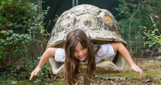Spaycific' Zoo- Ose prendre pour une tortue Spaycific' Zoo- Ose prendre pour une tortue