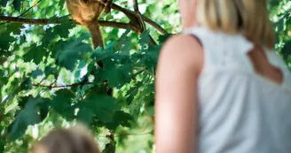 IMG_7650 IMG_7650