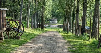 cropped-cropped-allee cropped-cropped-allee