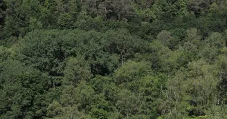 Vallée de Misère à Saint-Léonard-des-Bois Vallée de Misère à Saint-Léonard-des-Bois