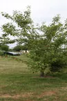 Camping Domaine Sainte-Marie