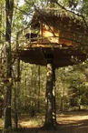 Château des Énigmes - La Cabane des Écureuils