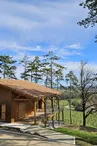 Cottage des pins - chalet dans les vignes