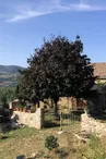 Gîte La Gorre