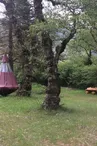 Le Petit Moras - La Pendola