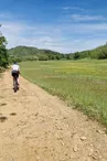Les vélos de Ferdinand