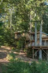 Cabanes dans les arbres Nids des Vosges