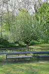 Aire de pique-nique Marsal