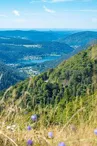 Tables de pique-nique - Route des crêtes