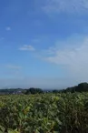 Aire de pique-nique de Longeville-lès-Saint-Avold