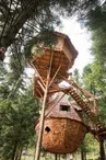 La clairière aux cabanes