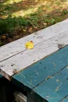 Aire de pique-nique de Momerstroff