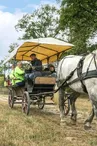 20230831_Pole-Cheval_Caleche_5046