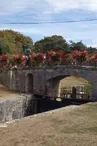 Châtillon sur Loire  les Combles - 10 septembre 2016 (17)