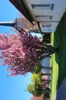 Eglise St Martin deChouday
