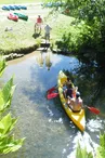 canoe prêt du bord de dronne
