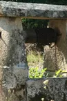 Puits de Grosmont - Ajain_1
