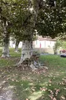aire pique nique st hilaire d'estissac
