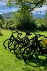 Location vélos VTC à assistance électrique