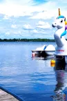 LICORNE CLNT HORIZONTAL
