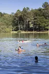 Lac de Neufont