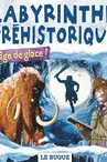 Labyrinthe-Prehistorique-2