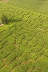 Labyrinthe de Maïs des Châteaux