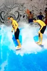 wsc_freesession