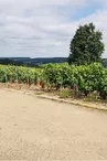 Aire de service Champagne Champion - Bergères-sous-Montmirail
