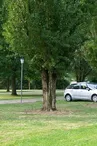 Camping GCU Mesnil St Père.jpg