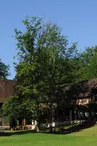 Photo_1.jpg