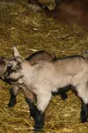 IMG_0704.JPG