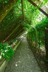 Jardin botanique © Olivier Douard (6).jpg
