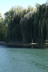 Halte fluviale 2  © OTNVS.jpg
