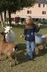 LES SENTIERS DE LA DECOUVERTE
