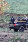Visite en 4x4 du Parc animalier Le Saint Hubert