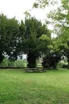 Aire de Camping Car - Pradinas