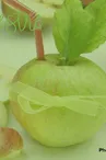 pomme