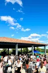 massabrac_marche_halle_fig_groupe