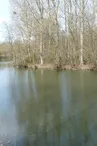 étang vallée de la Retourne
