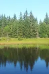 Etang de l'Auradou