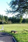 Aire de services camping-cars
