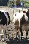 Ferme pédagogique des Pennes Mirabeau