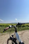 Location de vélo