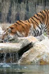 Parc Animalier La Barben